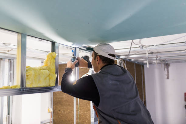Best Eco-Friendly Insulation in South Sumter, SC