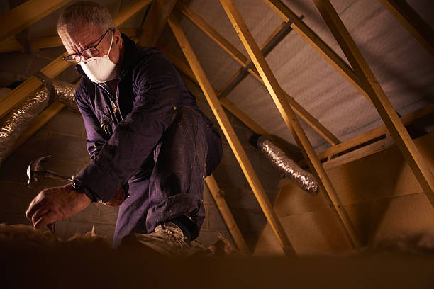 Types of Insulation We Offer in South Sumter, SC