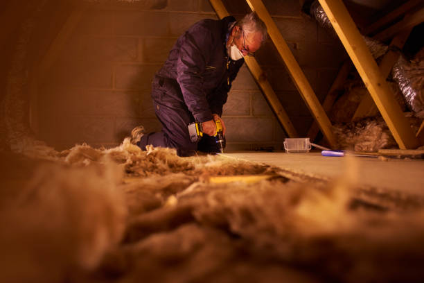 Professional Insulation Contractor in South Sumter, SC